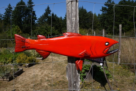 DUCOTE; Coho SOLD