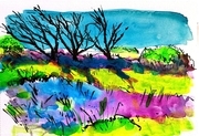 DUCOTE, Old Windbreak on the Dunes, ink on paper, 7 x 10, available