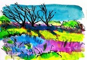 DUCOTE, Old Windbreak on the Dunes, ink on paper, 7 x 10 SOLD