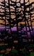 DUCOTE, Rosy-fingered Dawn II, digital painting, 38 x 23, limited edition print (10)