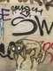 Rome Graffiti: Tread Softly on Cats' Paws, facemounted photograph, limited edition of 10, #1 of 10 SOLD