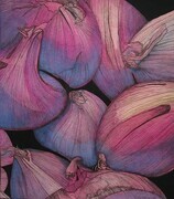 TAYLOR; Shallots (Honourable Mention awarded in Sidney Fine Arts Show October 2014)