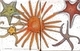 TAYLOR; A Syzygy of Sea Stars, ink and watercolour finished with resin SOLD