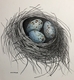 TAYLOR; Home, ink and watercolour on paper Accepted for juried Federation of Canadian Artists Works on Paper Exhibit, Granville Island, Vancouver, January 2020 SOLD; chosen for the May 2020 cover of the Journal of Family Physicians of Canada