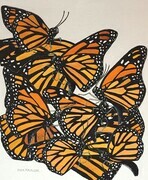 TAYLOR; Monarchs, ink and watercolour on paper SOLD
