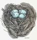 TAYLOR; She Built a Very Cozy Nest, ink and watercolour on paper SOLD
