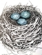 TAYLOR; Small Nest #7:It Was her First Nest; ink drawing on paper, mounted on cradle, finished with resin, 4"x3" SOLD