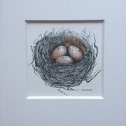 TAYLOR; Small Nest (a commission), ink and watercolour on paper, 4.5 x 4.5 SOLD
