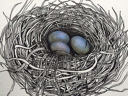 TAYLOR; ; Small Nest: Her Eggs Were Alabaster Blue; ink drawing on paper mounted on wooden cradle, finished with resin; 3' x 4" SOLD