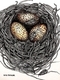 TAYLOR; ; Small Nest: Her Eggs Were Speckled; ink drawing on paper mounted on wooden cradle, finished with resin; 4" x 3" SOLD