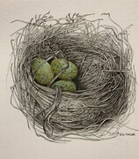 TAYLOR; Small Nest II, 4.5 x 4.5, framed 10 x 10, available at Art Gallery of Greater Victoria Small Works Exhibit, November, 2023