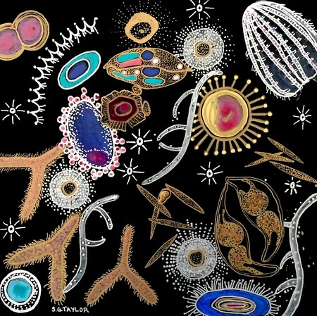 TAYLOR; The Importance of Plankton IX, acrylic on wood panel finished with resin, 10" x 10" included in FCA 10 x10 Exhibit December 2019 SOLD