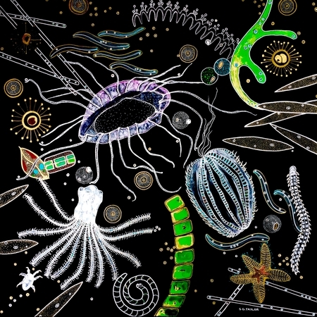 TAYLOR; The Importance of Plankton V, acrylic on wood panel finished with resin, 30 x 30, available