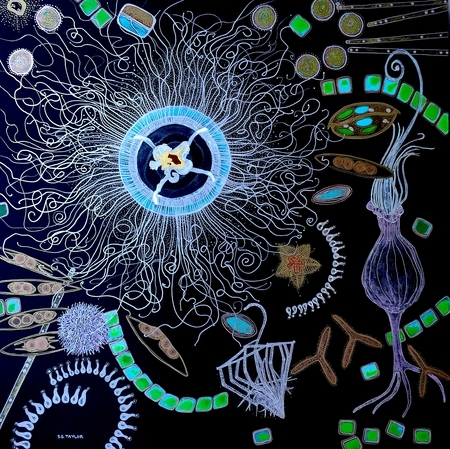 TAYLOR: The Importance of Plankton VII, acrylic and resin on wood cradle, 30 x 30, available