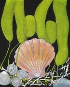 TAYLOR; Tidepool with Scallop; SOLD
